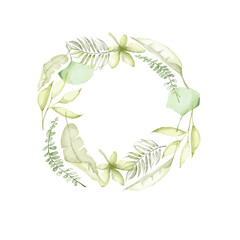 On a white background is a tropical leaf.Made in watercolor technique.the Leaves are light green.
