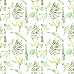 Tropical leaves are randomly placed on a white background.