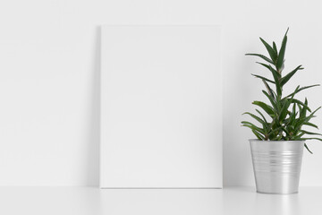 White canvas mockup with an aloe vera plant on the table.