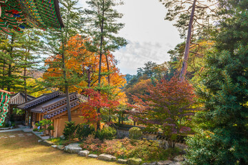 Seoraksan National Park in Autumn, Gangwon, South Korea