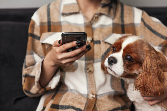 Woman holds a mobile phone in her hand and the dog looks at the phone