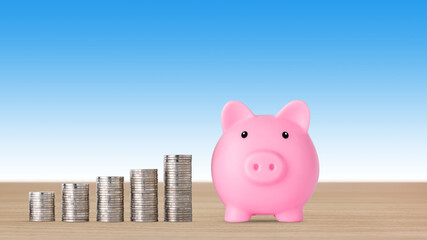 Business investment and saving growth for advertising concept. Stacking coin growing with pink piggy bank on blue background, meaning of growing or saving or earning money