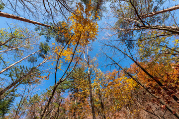 Fototapeta premium Seoraksan National Park in Autumn, Gangwon, South Korea