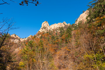 Fototapeta na wymiar Seoraksan National Park in Autumn, Gangwon, South Korea