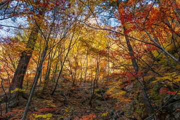 Seoraksan National Park in Autumn, Gangwon, South Korea