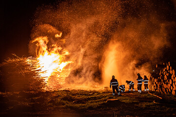fire in the the woods
