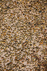 autumn leaves background