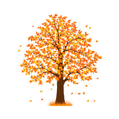autumn fall tree
