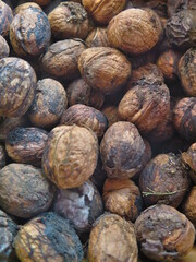 nueces 