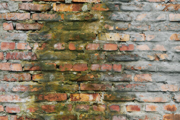 Old and broken brick, a sample of a brick wall in various shades of red, gray, orange and beige, sometimes covered with greenish mold. Wall texture and background for vintage wallpaper. 