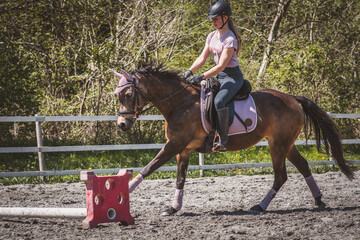 Cavaletti Training mit dem Pferd/Pony