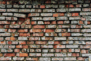 Old and broken brick, a sample of a brick wall in various shades of red, gray, orange and beige, sometimes covered with greenish mold. Wall texture and background for vintage wallpaper. 