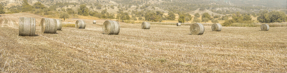 Wide panorama of agricultural field with dried grass and hay bales, Mediterranean landscape with trees and hills on background 
