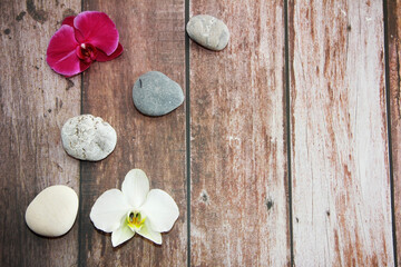 natural orchid flowers and grey stones
