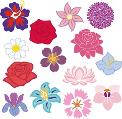 rose, chamomile, iris, lotus, peony, lily, orchid, flowers, set of flowers, bouquets, vector flowers, contours of flowers, stencil of flowers