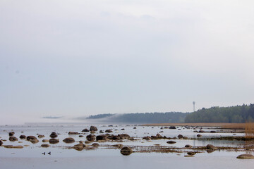 rocky foggy shore