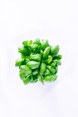 Top view of Fresh basil in plastic module over a blue background. Healthy food concept