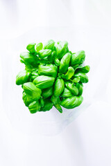 Top view of Fresh basil in plastic module over a blue background. Healthy food concept