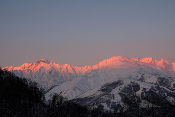 赤く染まり始める