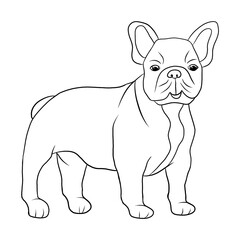 Coloring for children black and white illustration 