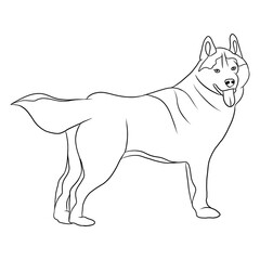 Coloring for children black and white illustration 