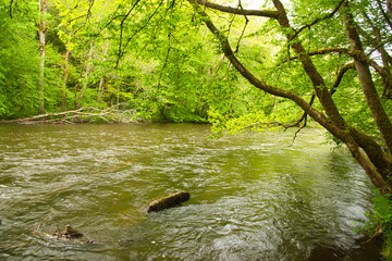 Die Cure bei Pierre Perthuis im Morvan im Burgund
