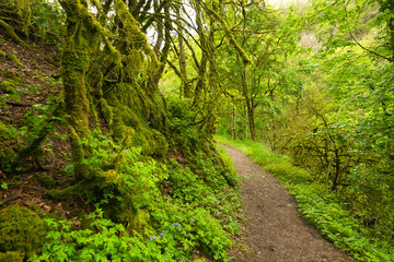 gorges de Narvau bei Lormes im Morvan im Burgund © Tanja Voigt 