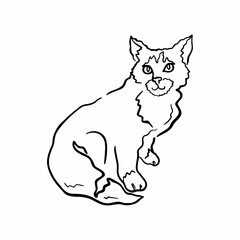 Vector illustration in line art style of a cat with a fluffy tail. Silhouette of a sitting cat in a minimalistic style isolated on a white background. 