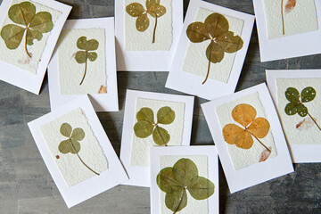 Dried Lucky Four Leaf Clover on handmade greeting cards