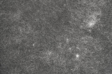 Animal hair on clothes background texture. close up of cat hair on clothes