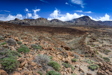 Rock desert landscape with blue sky in Tenerife in Canary Islands