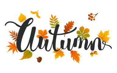 Obraz premium seasonal autumn leaves handwriting background