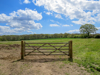 an odd gate to a field without a fence or wire - Powered by Adobe