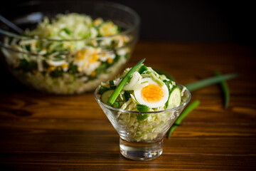 spring salad with early cabbage, cucumbers, eggs and green onions