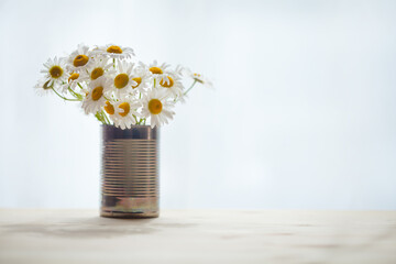 Chamomile flowers in recycled can, summer morning, home decoration idea, copy space