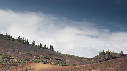Rock desert landscape with blue sky in Tenerife in Canary Islands