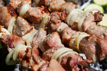Juicy meat with onions and spices on skewers is fried on a fire in nature. Barbecue. Picnic. Grill.	