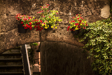 Fototapeta na wymiar flowers on arch in orvieto