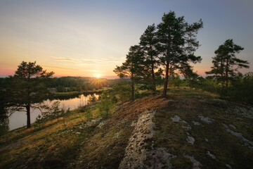 Beautiful sunset rays of sun with clean nordic nature, pine trees on rock in North Europe, Baltic sea, gulf of Finland