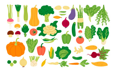 Fresh vegetables collection in flat style. Big greens harvest set. Different vegetarian foods. Agriculture design elements