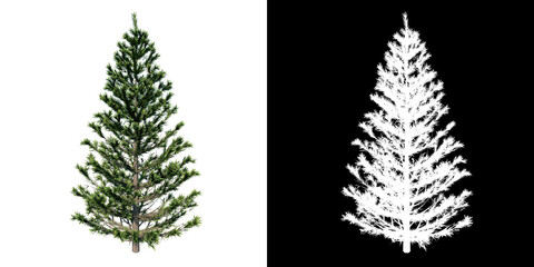 Front view of Plant (Fir Tree Prune Conifers- 1) Tree png with alpha channel to cutout made with 3D render
