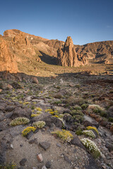 Rocky desert landscape in Teide National Park in Tenerife in the Canary Islands