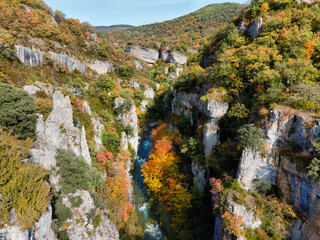 Gorgeous forest near Ansó, Aragonese pyrenees, Huesca province, Spain