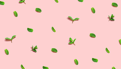 Fresh mint leaves overhead view
