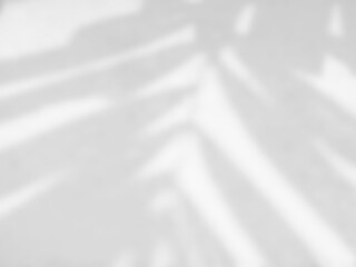 Obraz premium Shadow of palm leaves on a white wall, overlay effect for photo, mock up, posters, stationary, wall art, design presentation