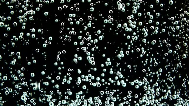 Air bubbles of the fizzy water.