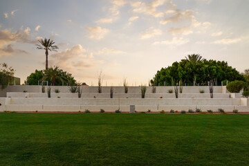 Modern desert landscaping, featuring tall, sparse desert plants at Scottsdale Civic Center Park during Sunset with clouds in golden sky, Scottsdale, Arizona.
