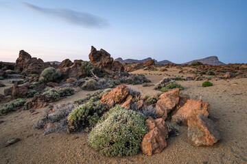 Fototapeta na wymiar Rocky landscape in the desert in Teide National Park