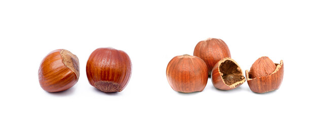 Group fresh hazelnuts isolated on white background