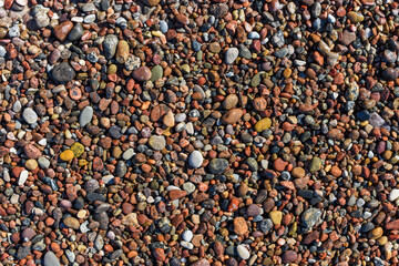 Texture of colorful pebbles lying on the beach on a sunny day.